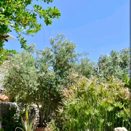 πέτρινο *