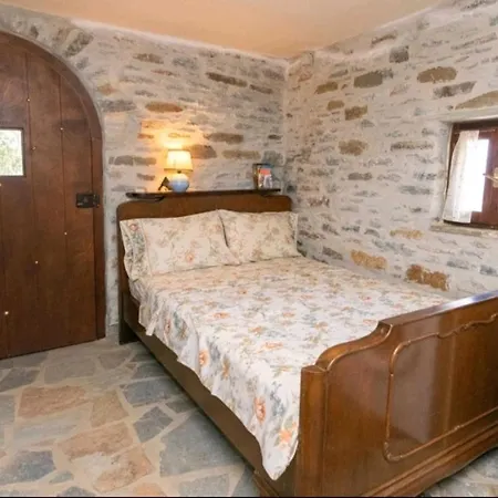 Πέτρινο Apartment 3*