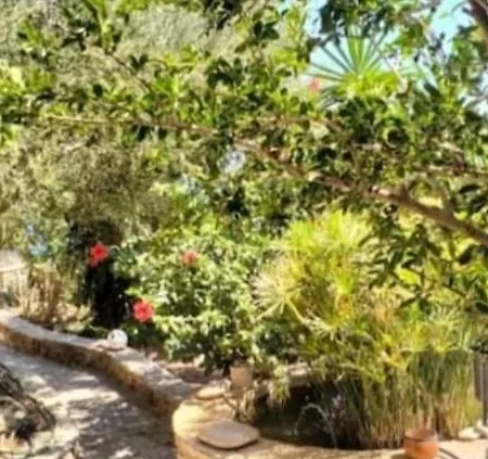 Πέτρινο Apartment Tinos