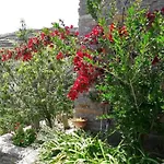 πέτρινο