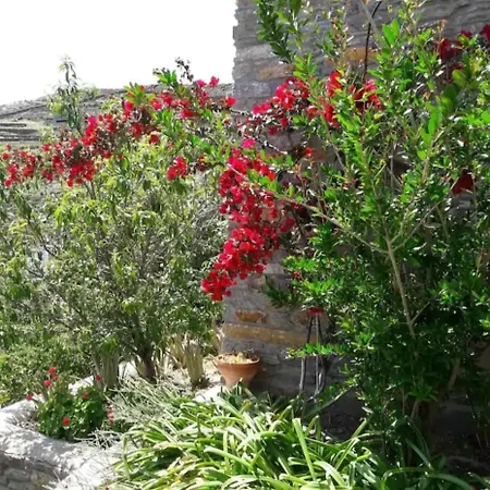 πέτρινο