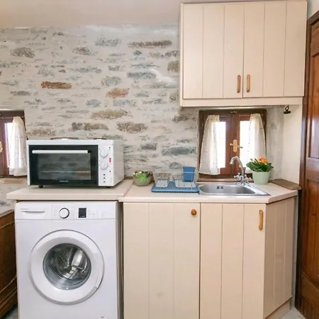 Πέτρινο Apartment 3*